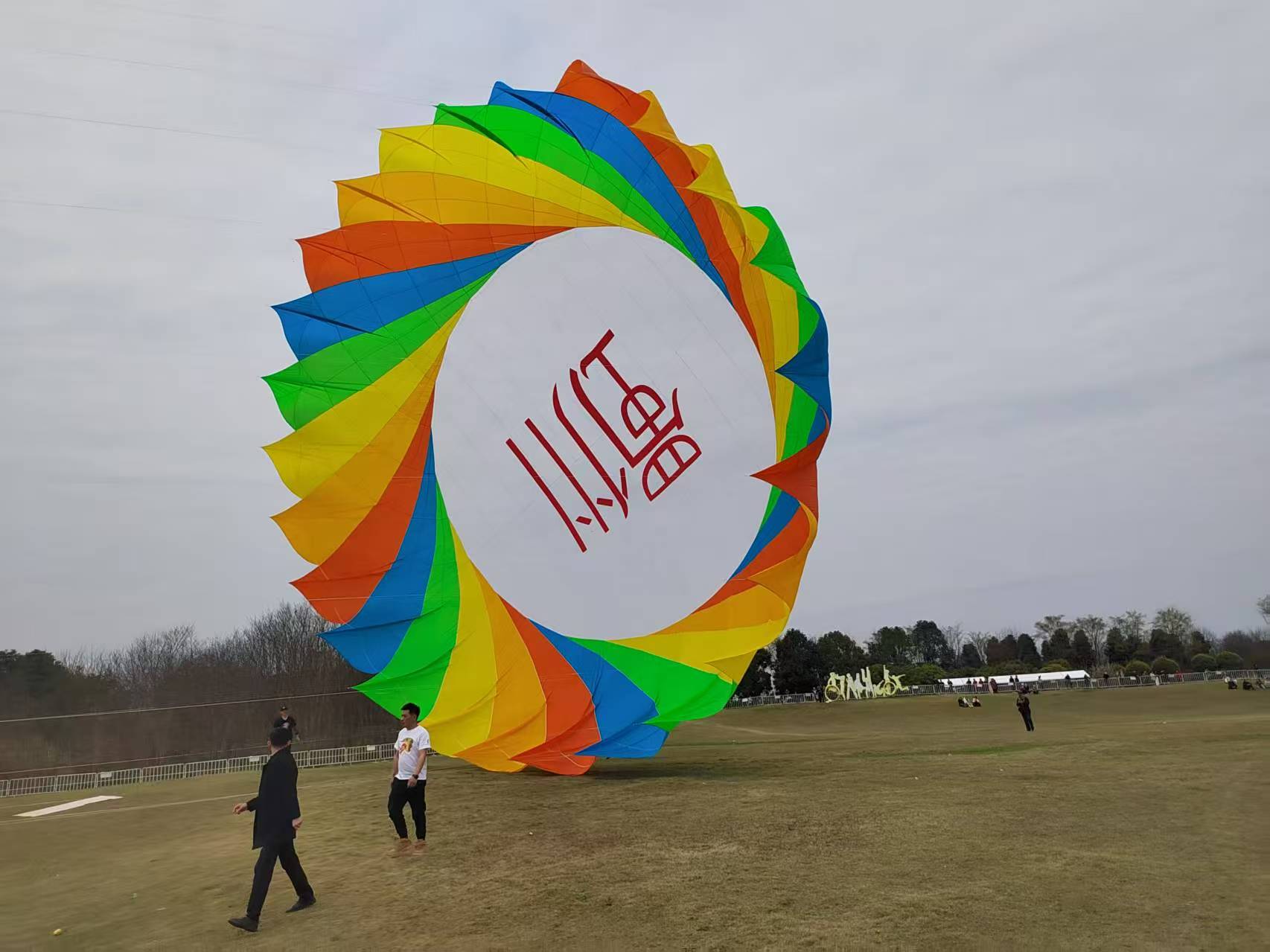 德阳市软体风筝定制风筝批发 - 方案