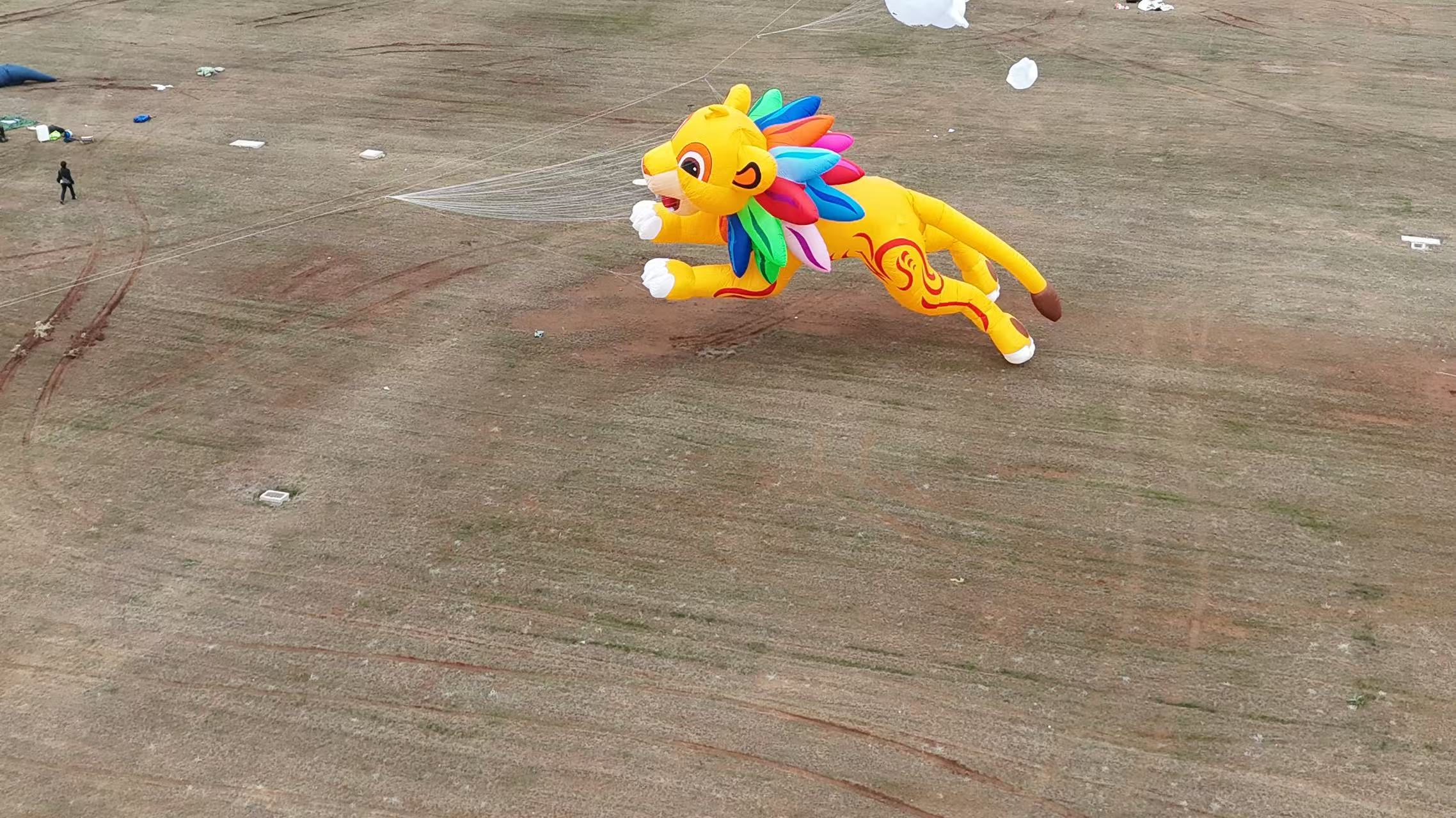 德阳市品牌风筝定制风筝DIY - 哪里好